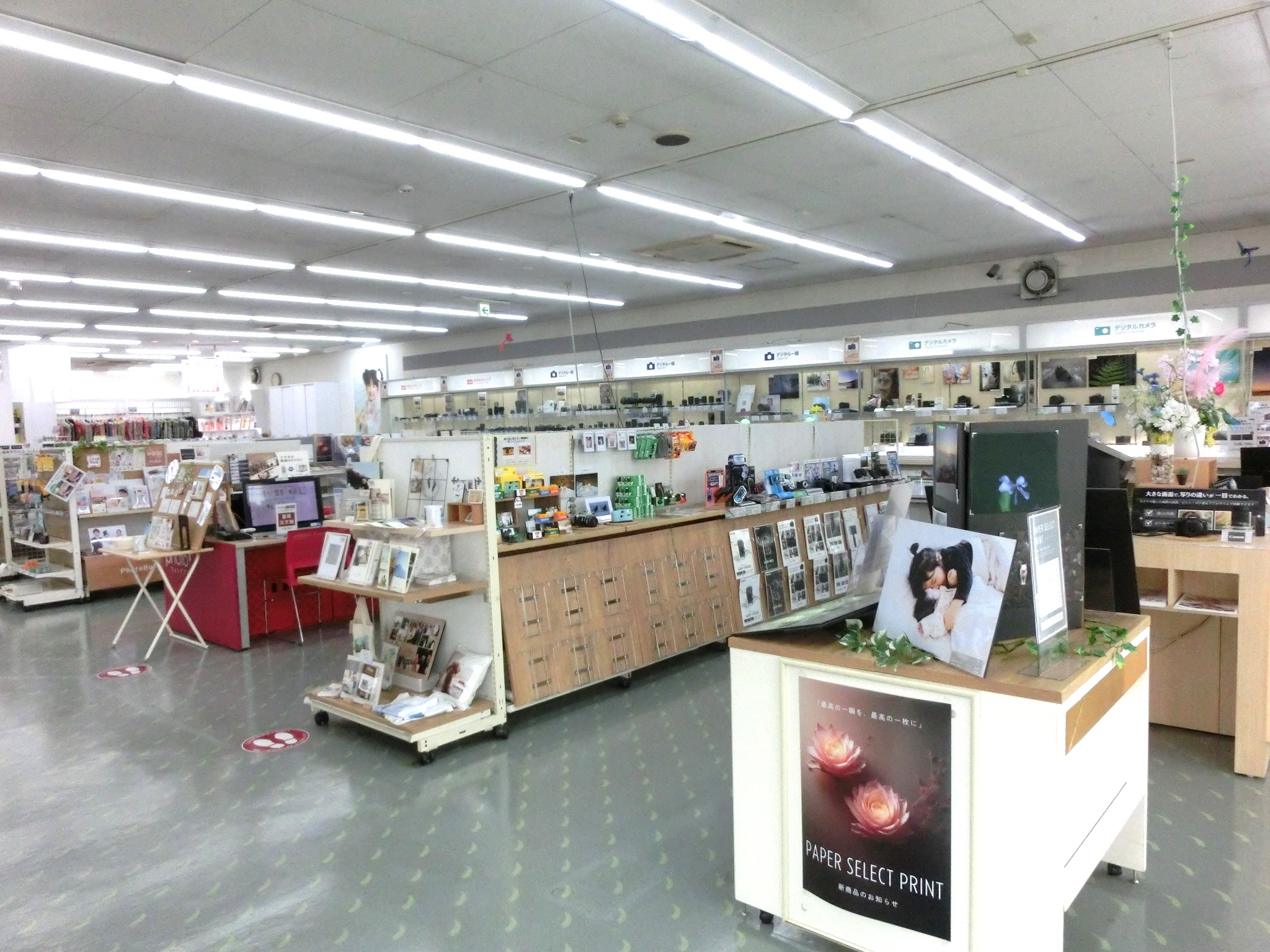 カメラのキタムラ 鶴ヶ島店 | カメラ・写真プリント・証明写真等のこと