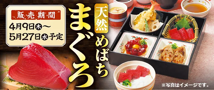 和食さと 天然めばちばぐろフェア