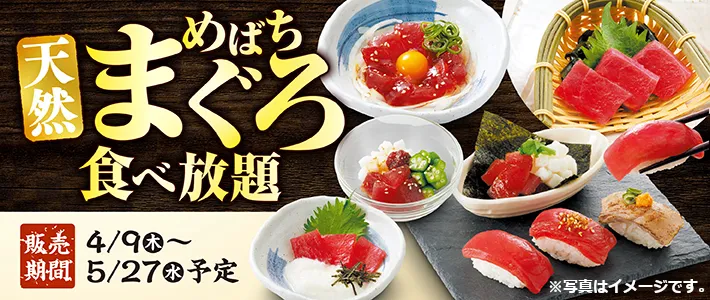 和食さと 天然めばちばぐろ食べ放題